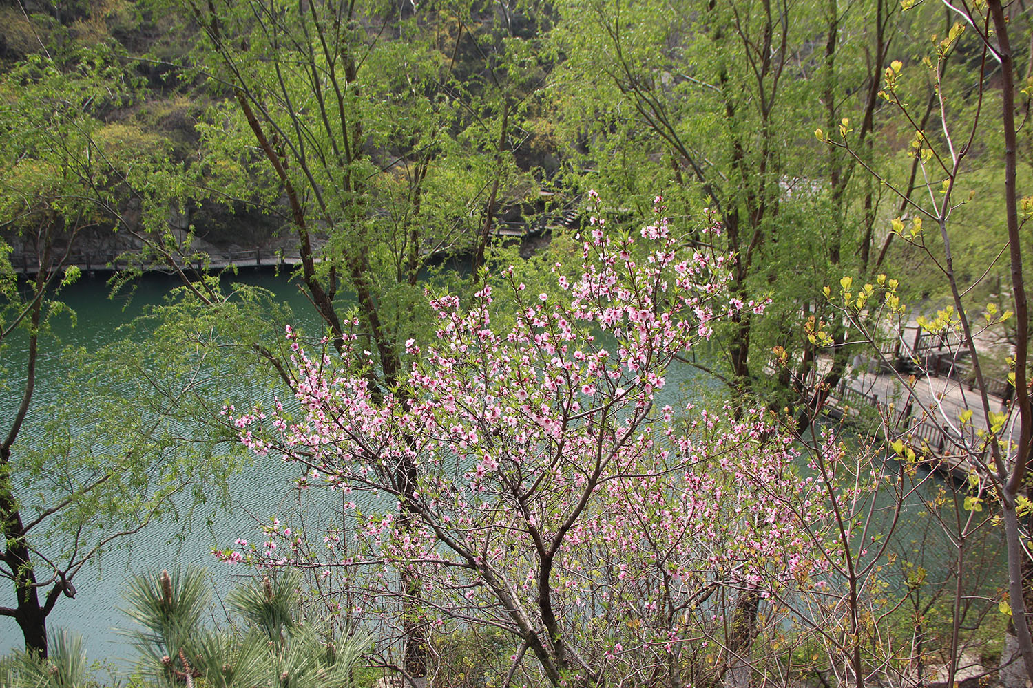 2021，濟(jì)南辰達(dá)試驗(yàn)機(jī)制造有限公司九如山一日游！